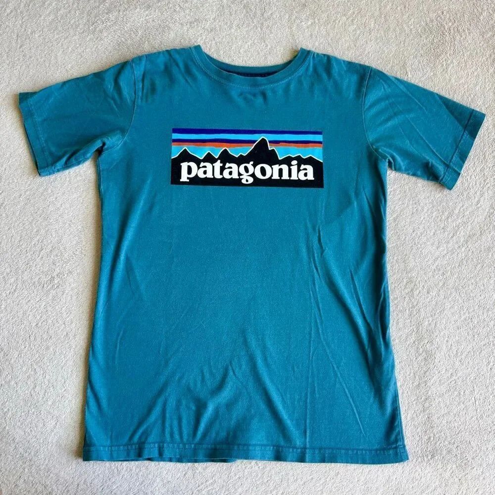 Patagonia Kids P-6 Shore Blue Cotton Logo T-shirt